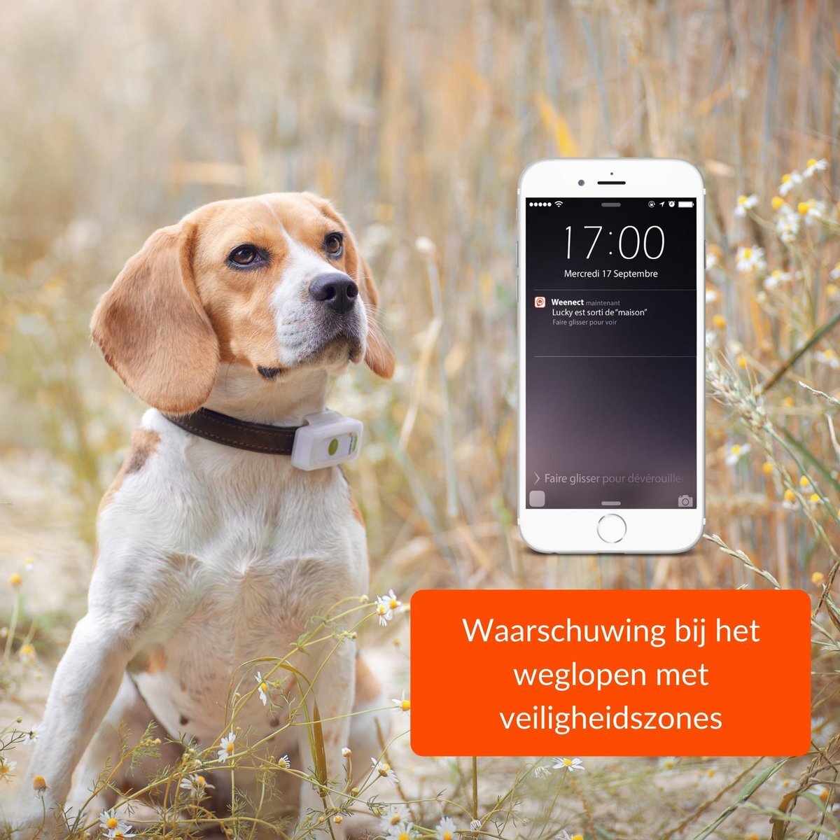 Weenect DOGS² GPS Tracker voor honden