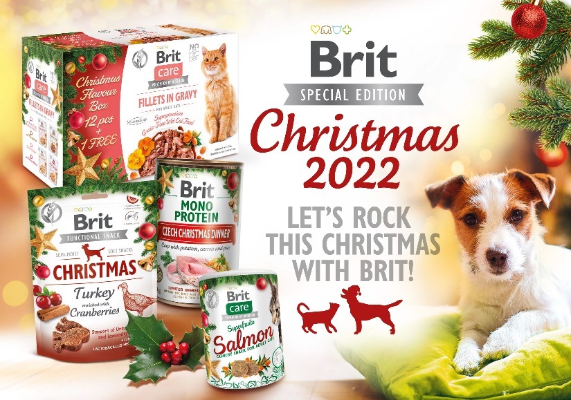 Black friday deals : Compleet Kerstpakket 2022 hond/kat 4-delig kerstdiners + snacks
