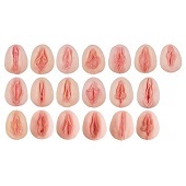 Vulva-afdrukken met vergelijkende anatomie