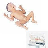 Baby (jongen, 30 weken, prematuur)