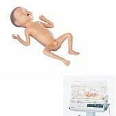 Baby (jongen, 24 weken, prematuur)