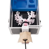 Echografie bronchoscopie simulator