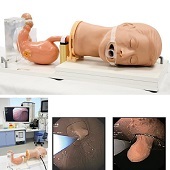 Gastroscopie simulator