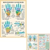Anatomie poster handreflexologie (Nederlands, gelamineerd, A2 + A4) + ophangsysteem