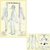 Anatomie poster meridianen (Nederlands, gelamineerd, A2 + A4)