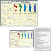 Anatomie poster voet en voetafwijkingen (Nederlands, gelamineerd, A2 + A4)