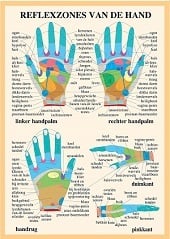 Anatomie poster handreflexologie (Nederlands, gelamineerd, A2)