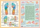 Anatomie poster voetreflexologie (Nederlands, gelamineerd, A4)