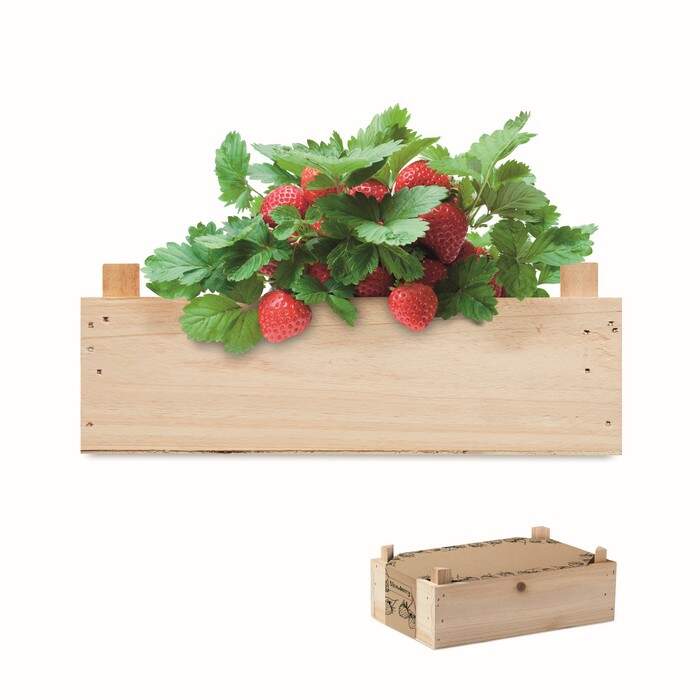 Aardbeienpakket in houten krat STRAWBERRY