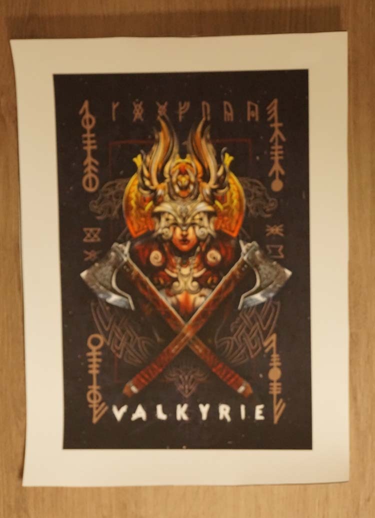 Canvas poster " Valkyrie "
