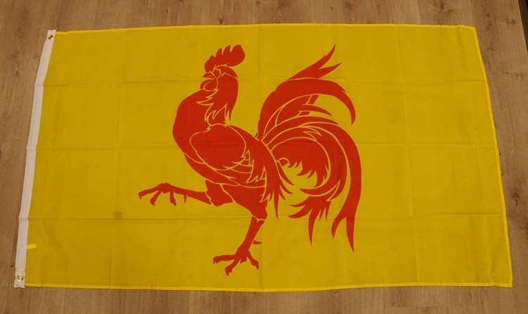 Vlag " Wallonie " België