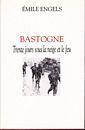 Bastogne - Trente jours sous la neige et le feu